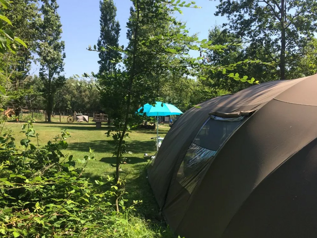 Camping Les Arbois 5