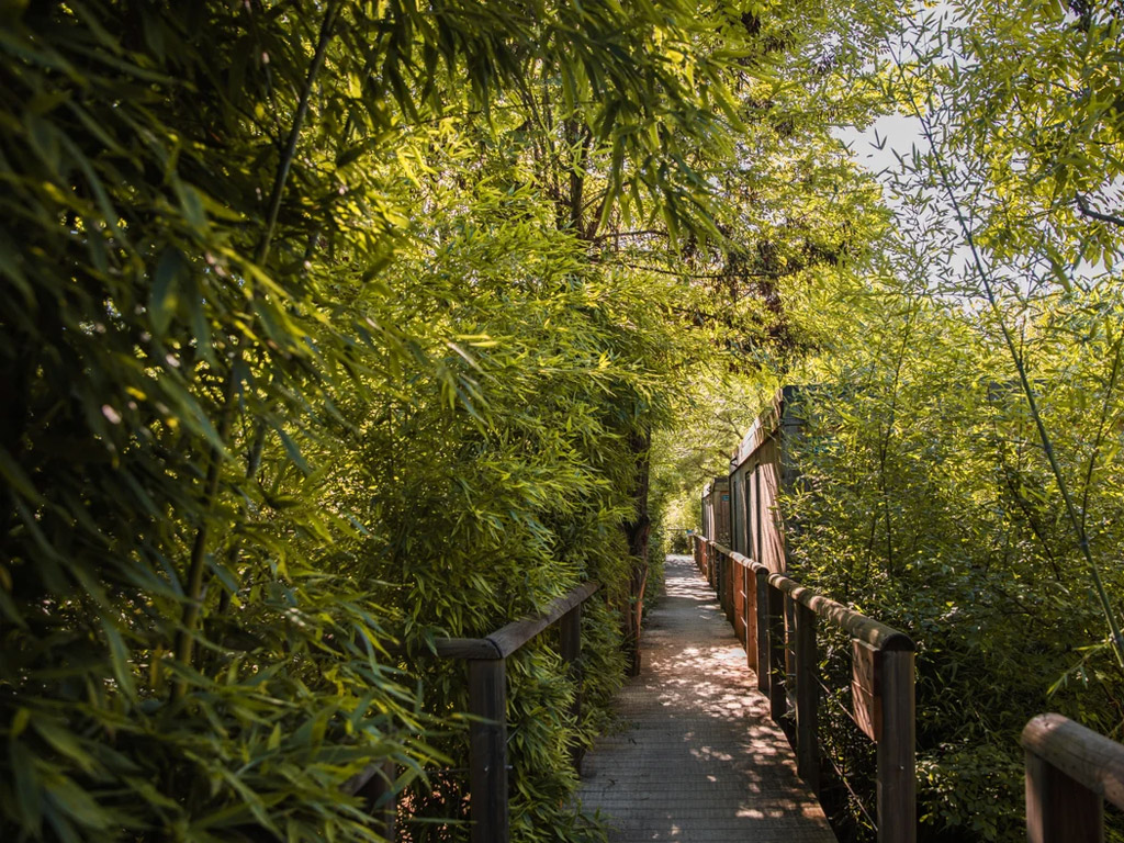 Camping Rives D Arc 8