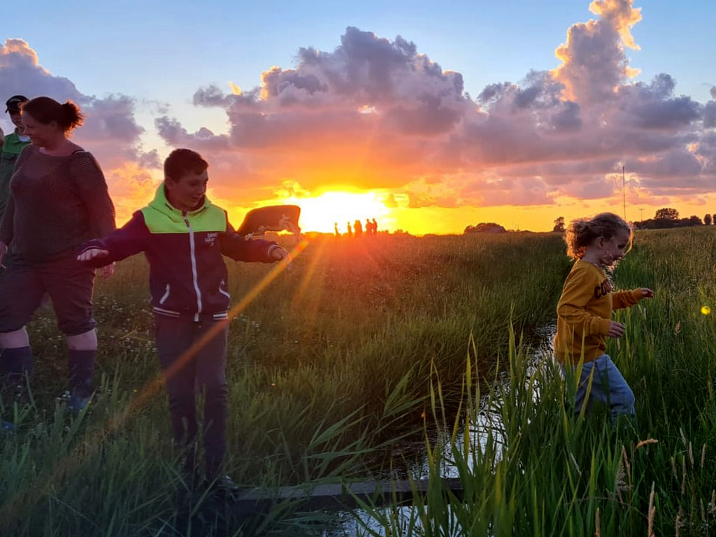 Camping De Bonte Fries 1