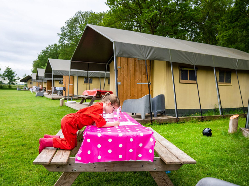 Farmcamps De Geele Bosch 12