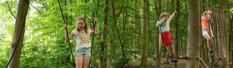 Belevenissenbos2