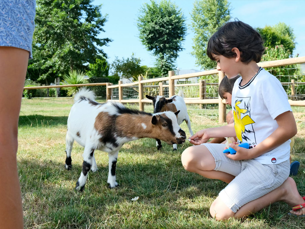 Camping Seasonova Haliotis 8