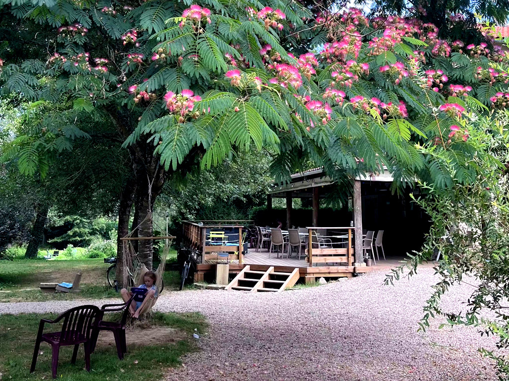 Rustieke en kleinschalige camping in de Tarn