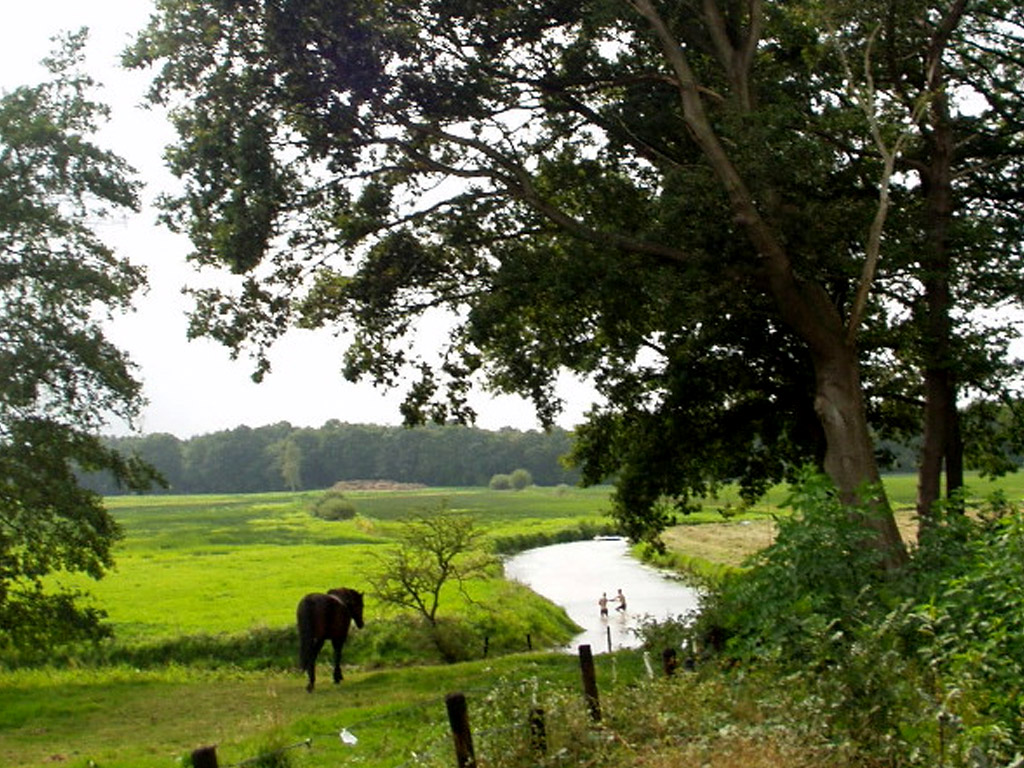 Wandelroute  Drentsche Aa Natuurroute