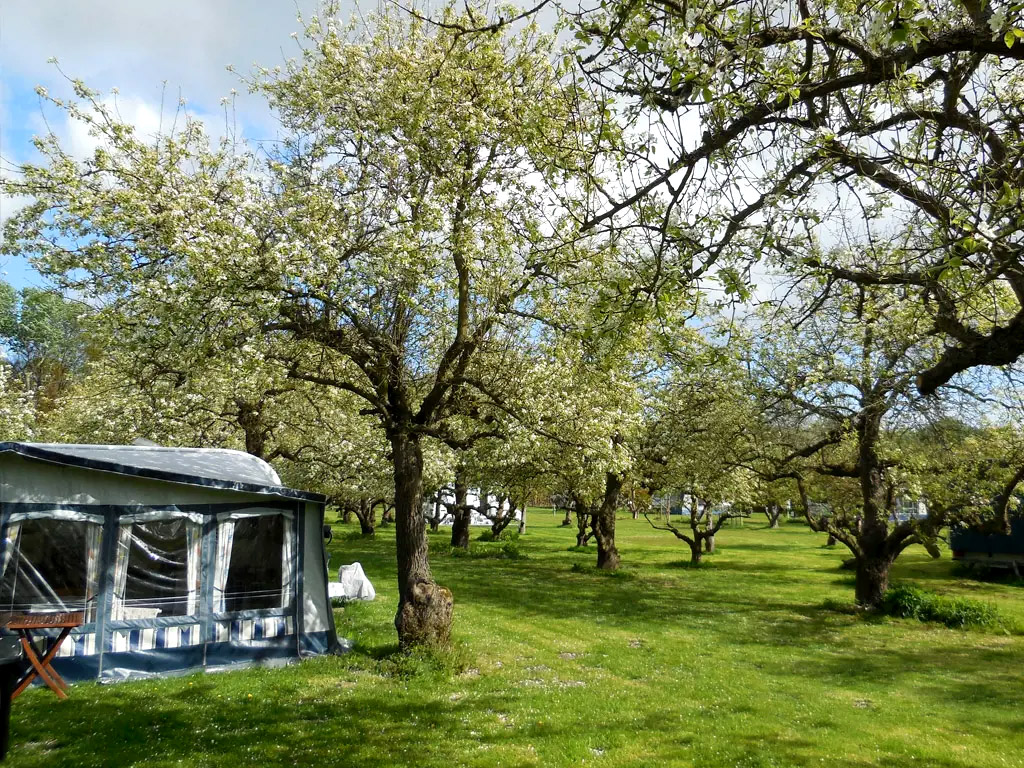 Naturisten camping: een oase van rust en vriendelijkheid