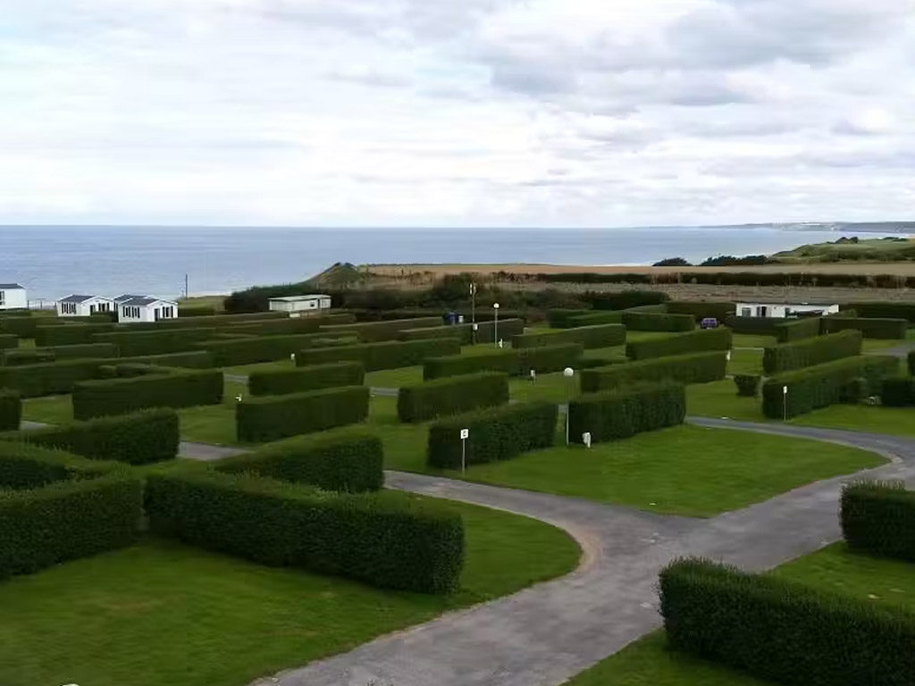 Flower Camping Omaha Beach 4
