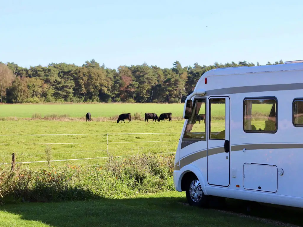 Huisdiervriendelijk, gastvrij met moderne faciliteiten.
