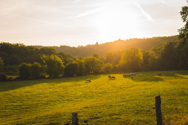 De Belgische Ardennen zijn erg populair onder kampeerders.