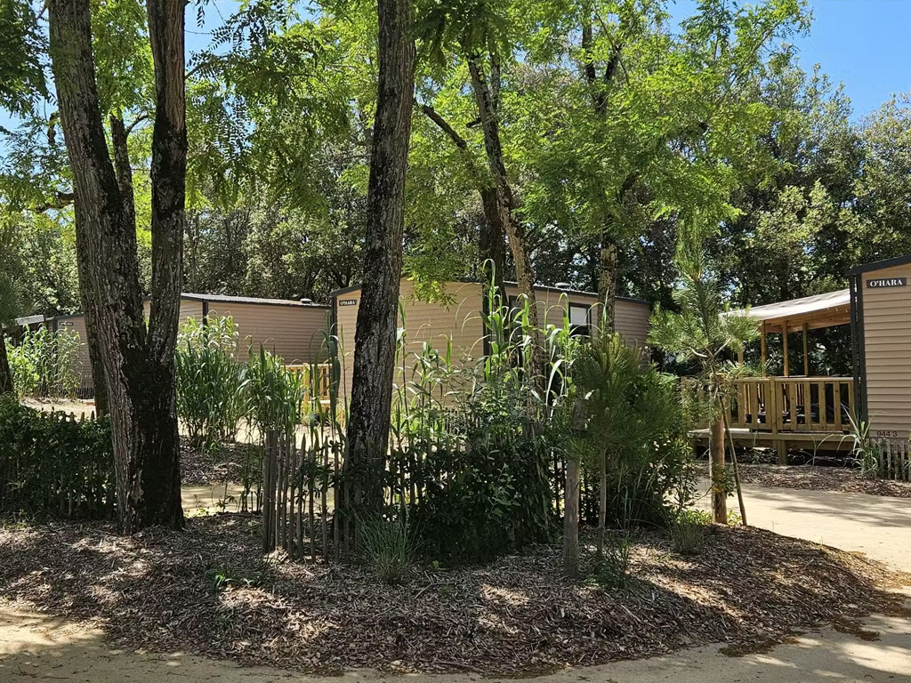 Camping Le Bois Verdon 3