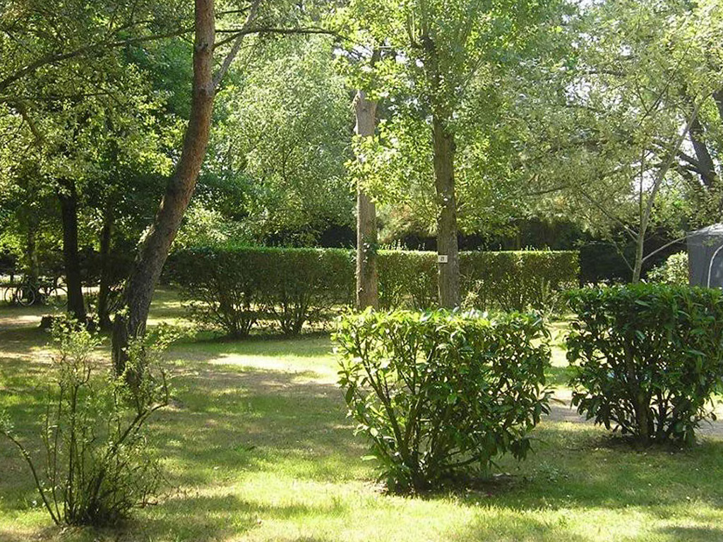 Camping Domaine Des Renardieres 6