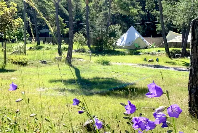 De 15 mooiste charmecampings van Frankrijk