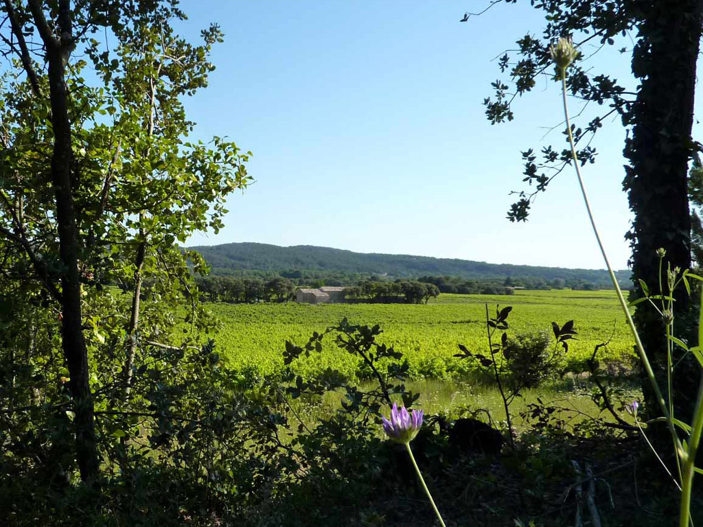 Mas De Coste Belle 7