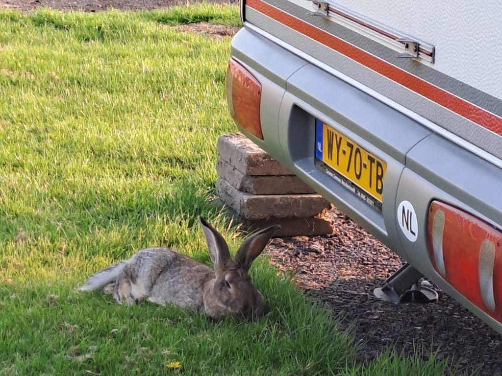 Camping Boerderij De Schans 7