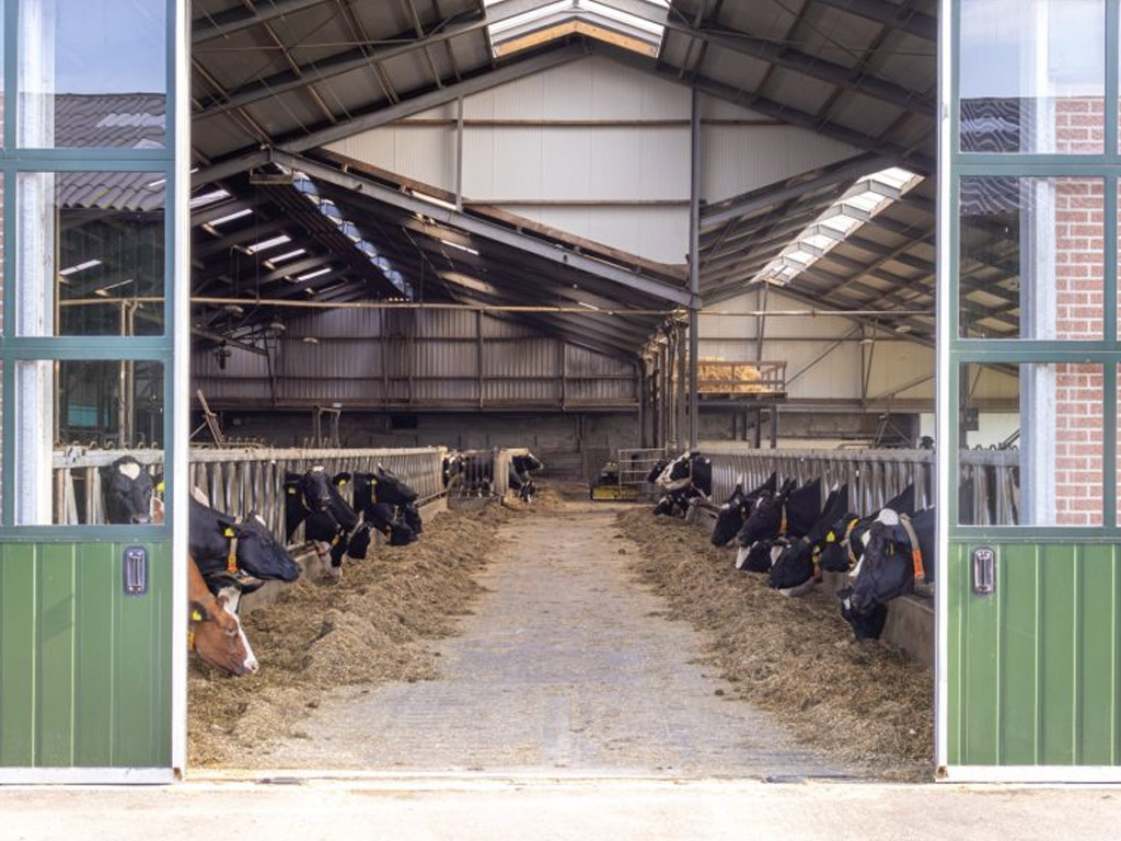 Minicamping Oosterzicht 7