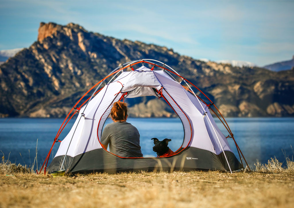Tips voor het meenemen van je hond naar de camping