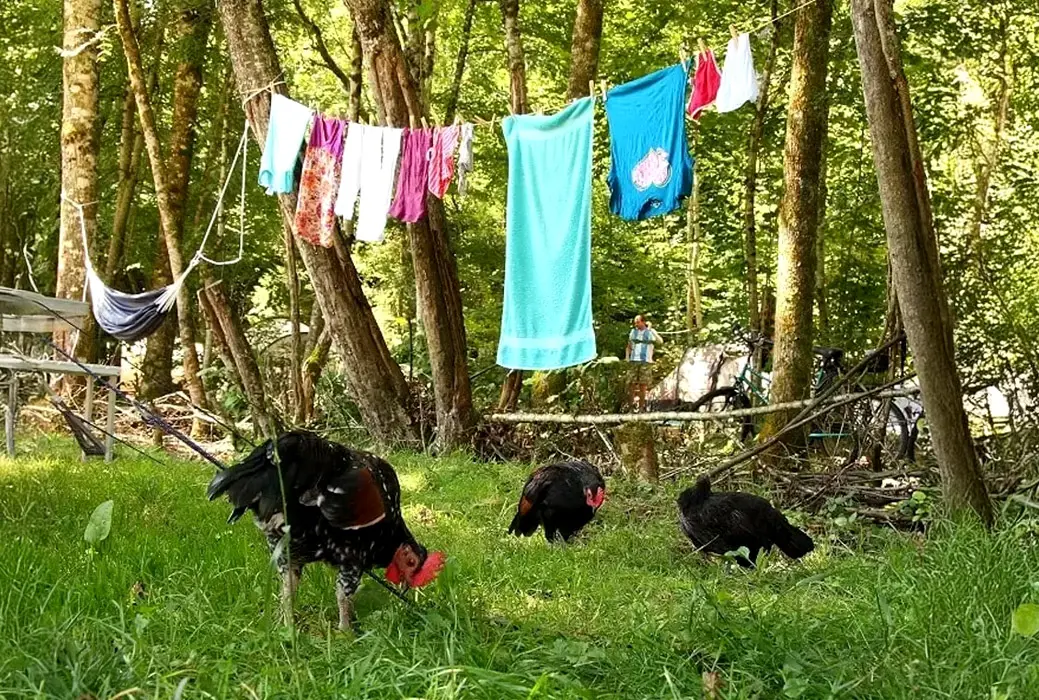 15 leuke Franse boerderijcampings