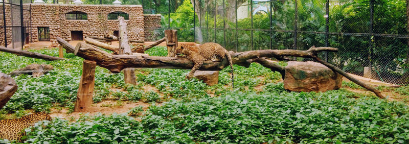 Zoo