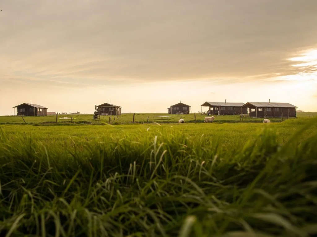 Boerenbed Hoeve Den Overdraght 4