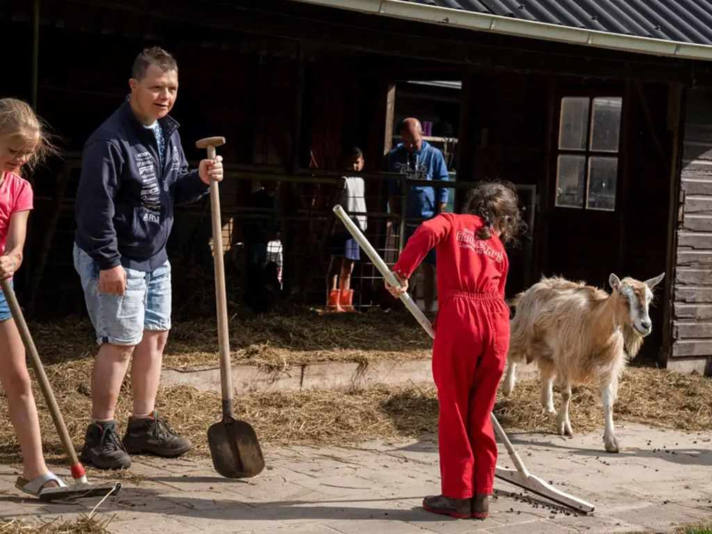 Boerderijcamping&nbsp;in Friesland&nbsp;
