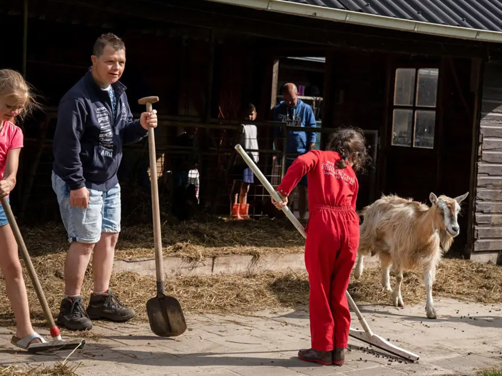 Boerderijcamping in Friesland