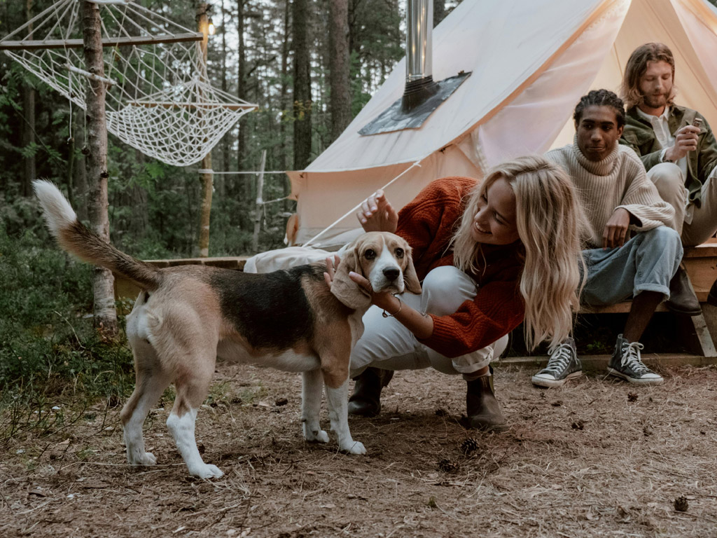 Vind een leuke camping voor jou en je hond