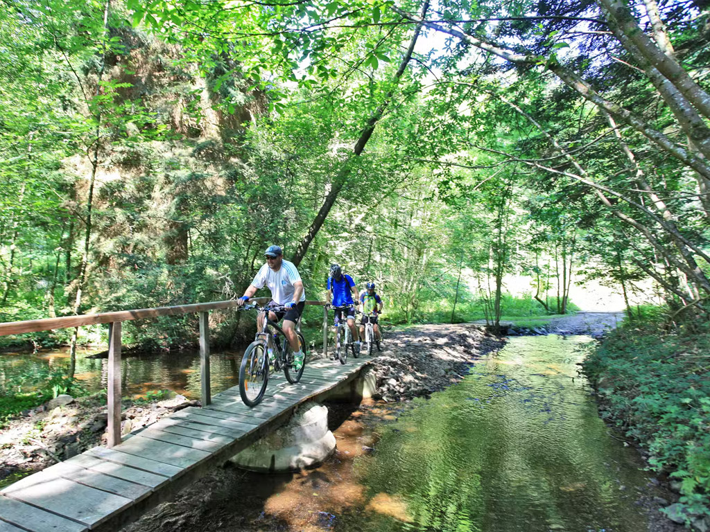 Chateau De Leychoisier 3