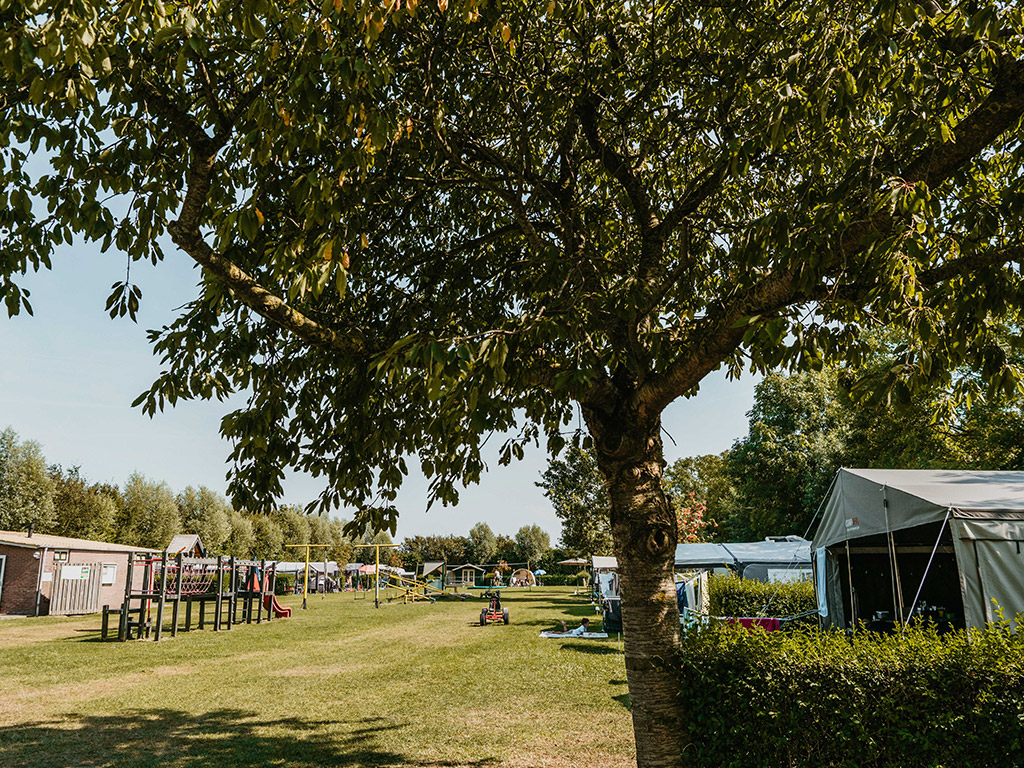 Minicamping Boudewijnskerke 3