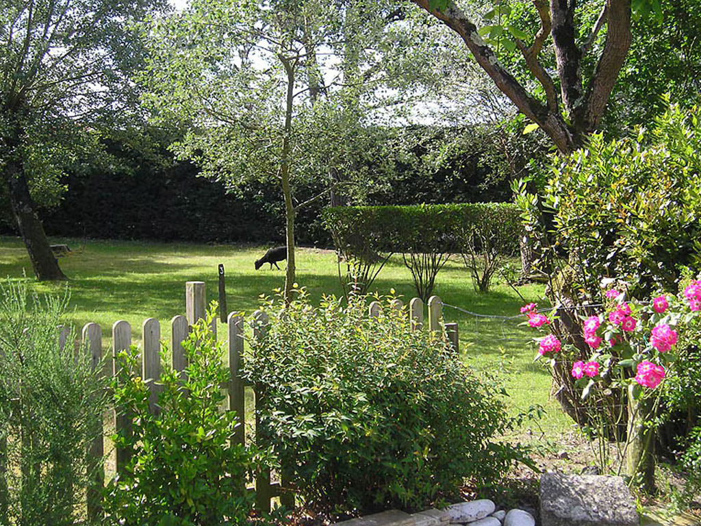 Camping Domaine Des Renardieres 5