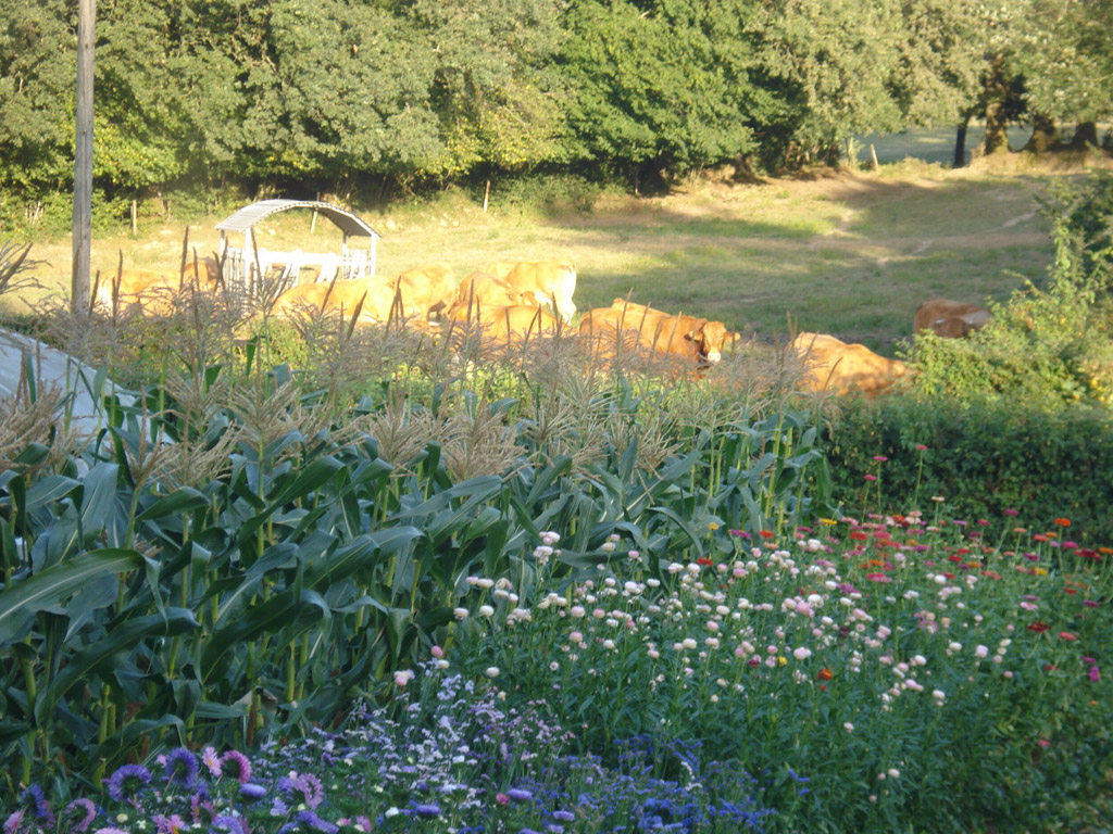 Domaine De Royeres 4