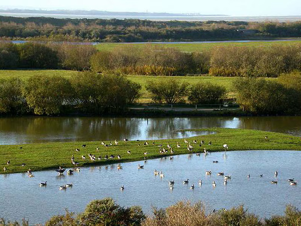 Camping Le Champ Neuf 8