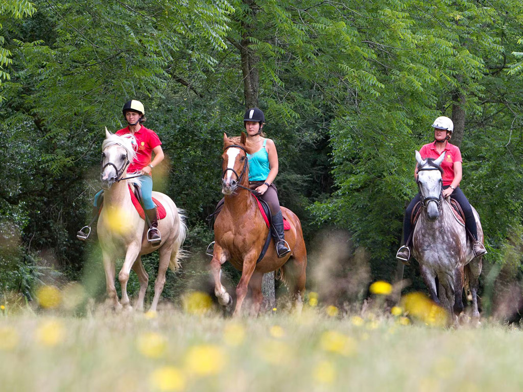 Castel Camping La Garangeoire 13