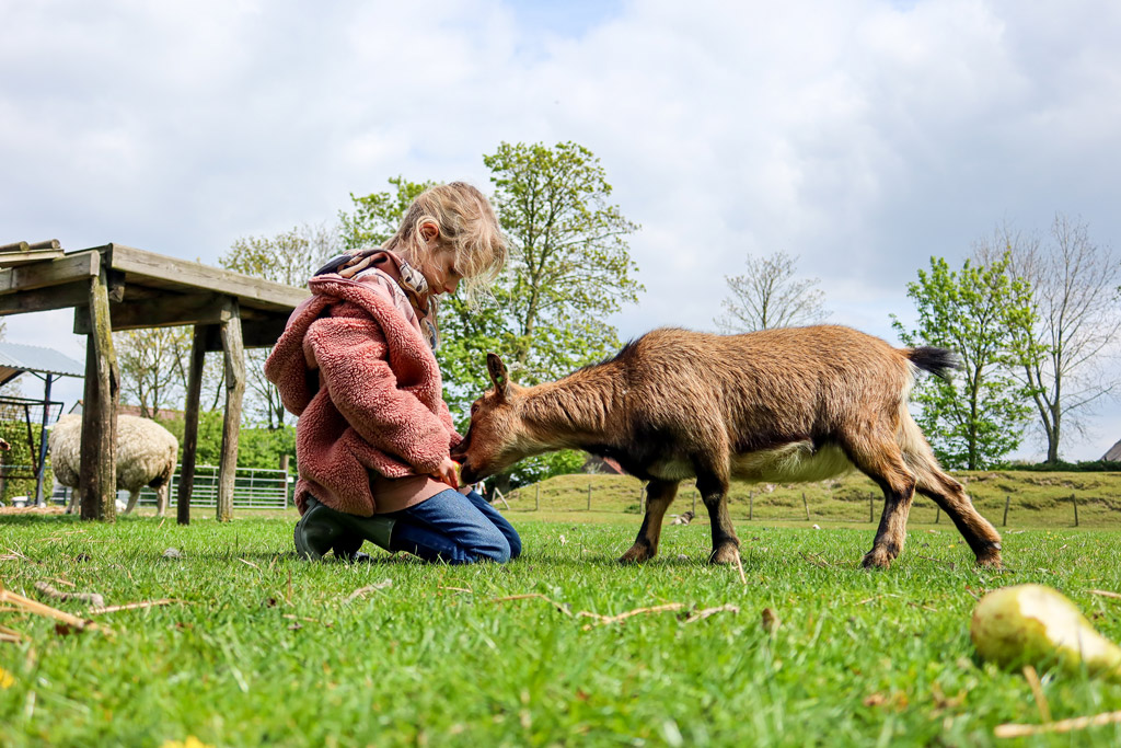 Kamperen op een boerderijcamping