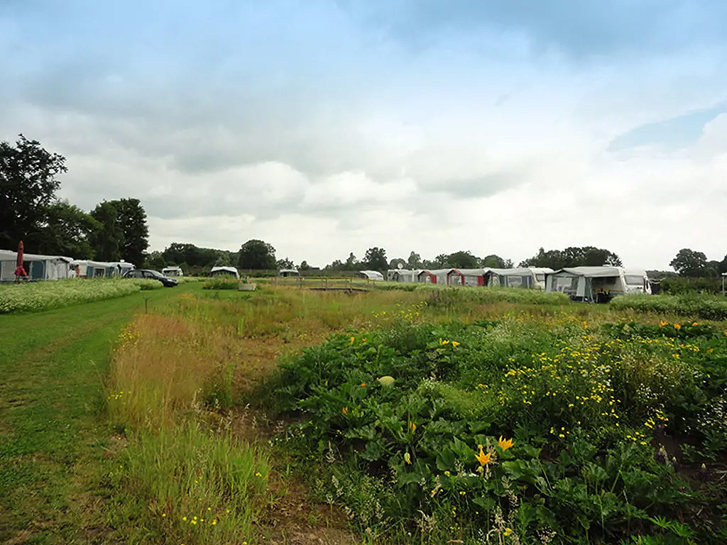 Gastvrije camping met zwembad en sauna