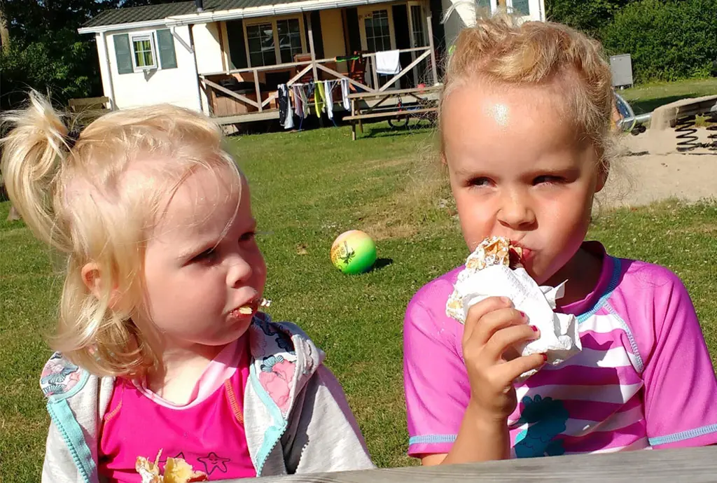 3 Eenvoudige eenpansgerechten voor op de camping