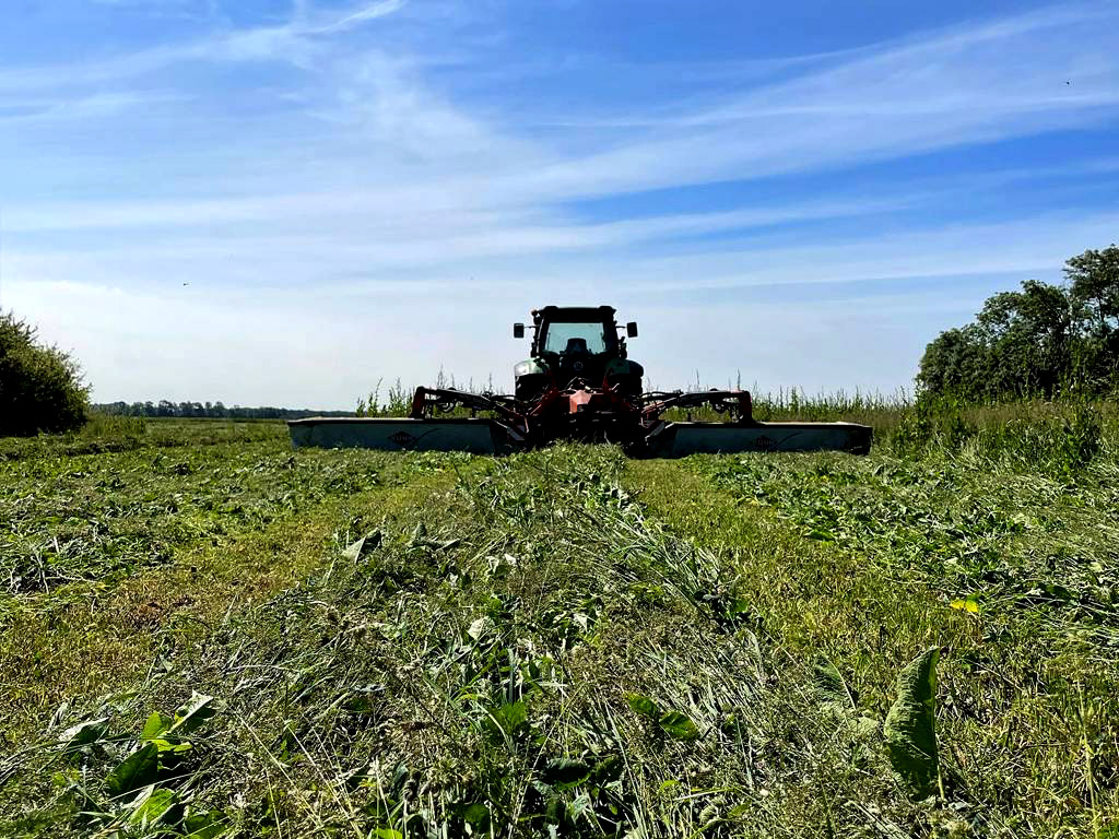Boerencamping, melkveehouderij, zorgboerderij en boerderijwinkel