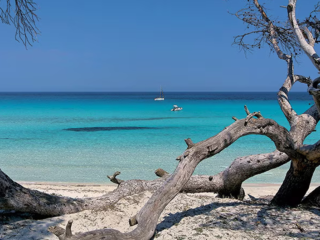 Camping San Damiano 3