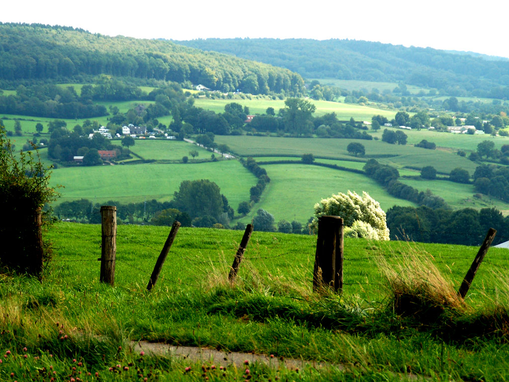 Geniet van het heuvellandschap in het prachtige Limburg