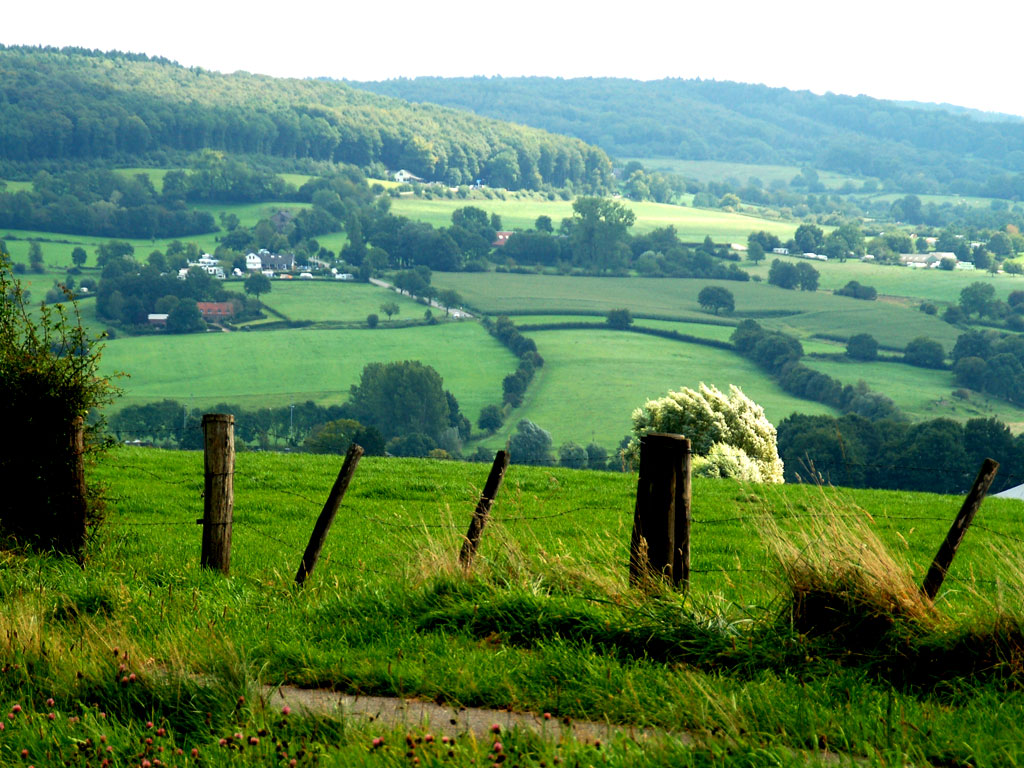 Kamperen In Limburg