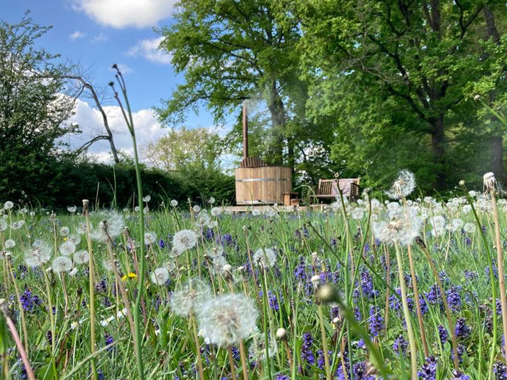 Camping Brut Nature 5