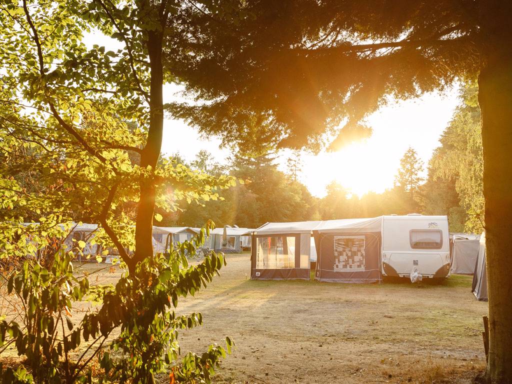 Boscamping op de Veluwe