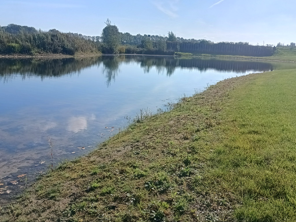 Camperplaats Uden Maashorst 5