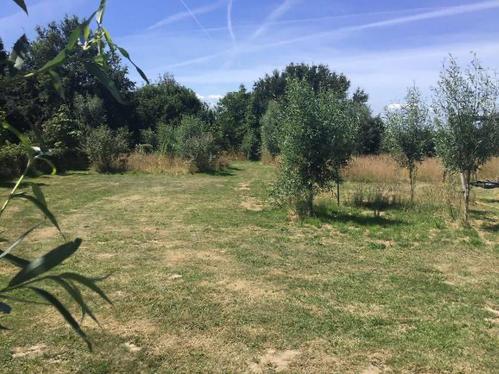 Boerderij De Vrije Geest 3