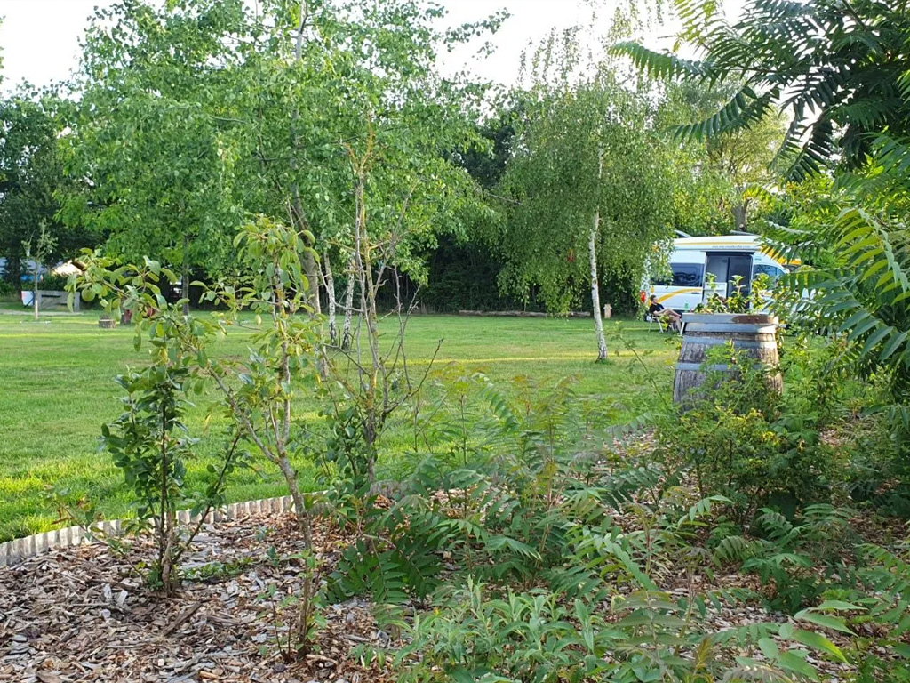 Minicamping Mortels Buiten 5