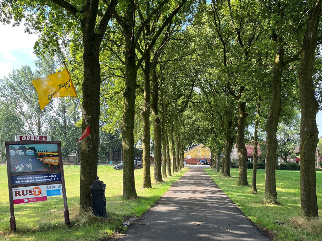 Minicamping T Loozerveld 4