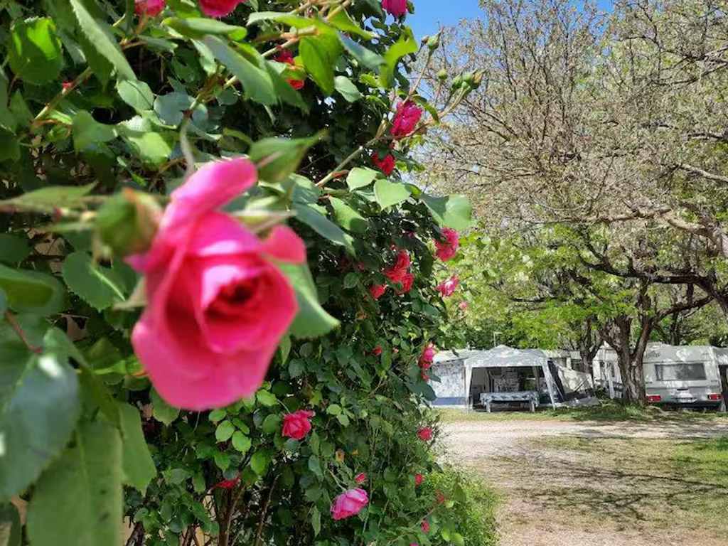 Camping Le Pontet 7