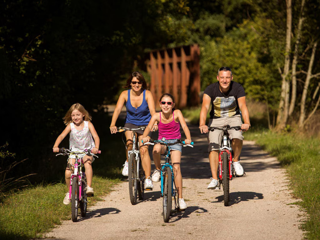 Flower Camping L Arize 9