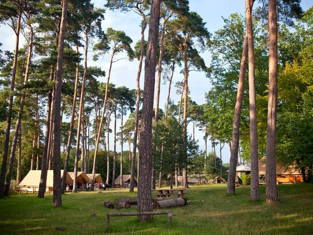 Fijne, kleinschalige kampeerplek op een doorreiscamping onder Parijs