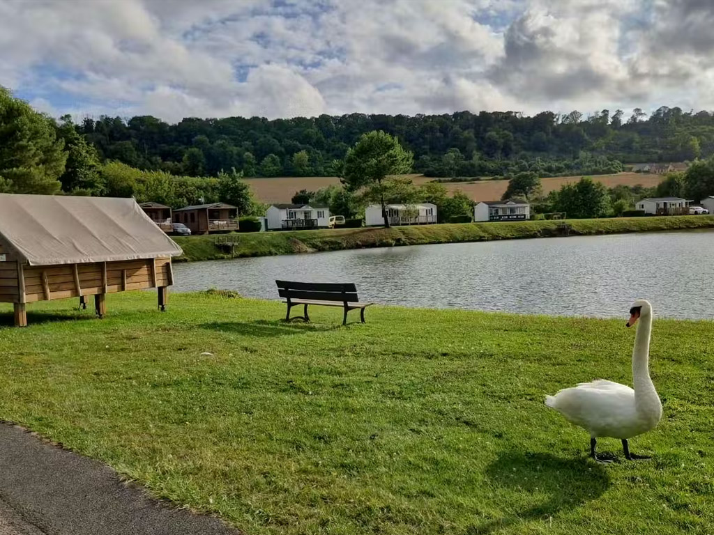 Camping Des 2 Rivieres 4