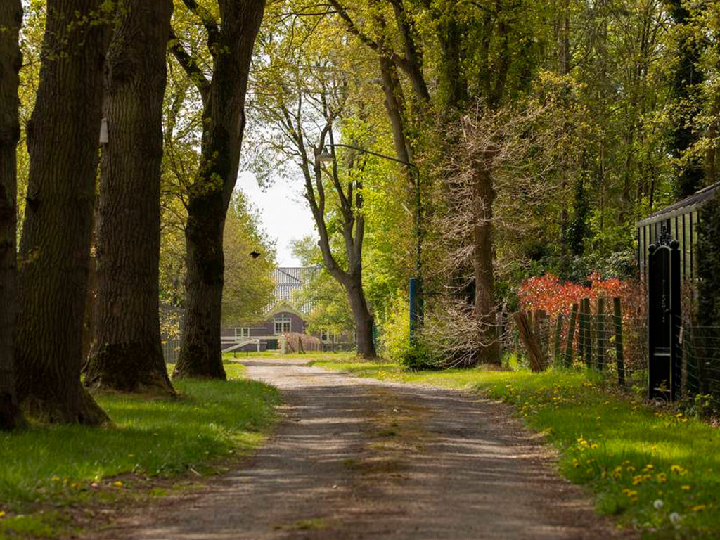 Camping Darthuizen 7