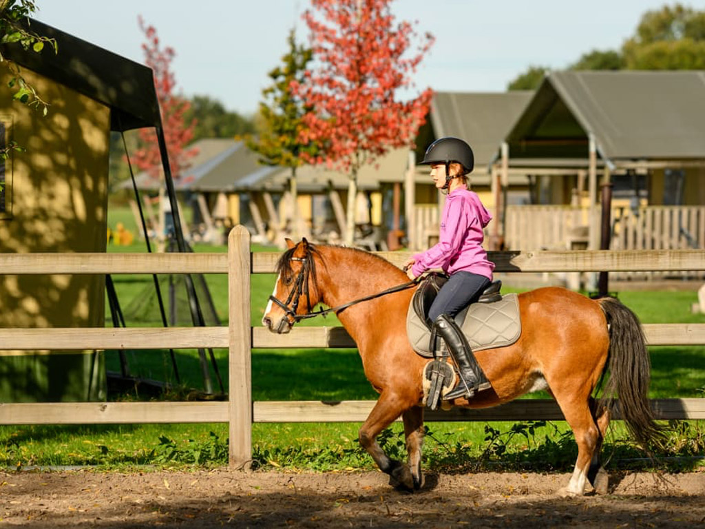 Farmcamps De Smulhoeve 1